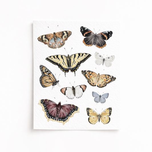 Butterfly Art Print
