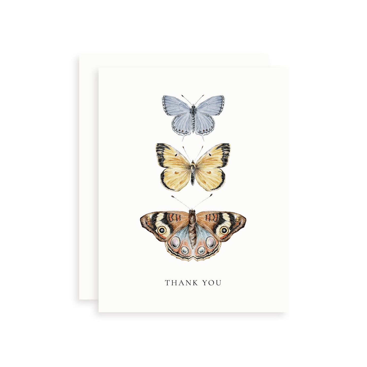 Watercolor card with three butterflies and 'Thank you' text on a white background