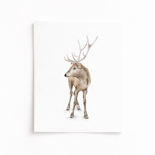 Framed artwork of a deer with antlers on a white background