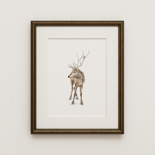 Framed artwork of a deer on a white wall
