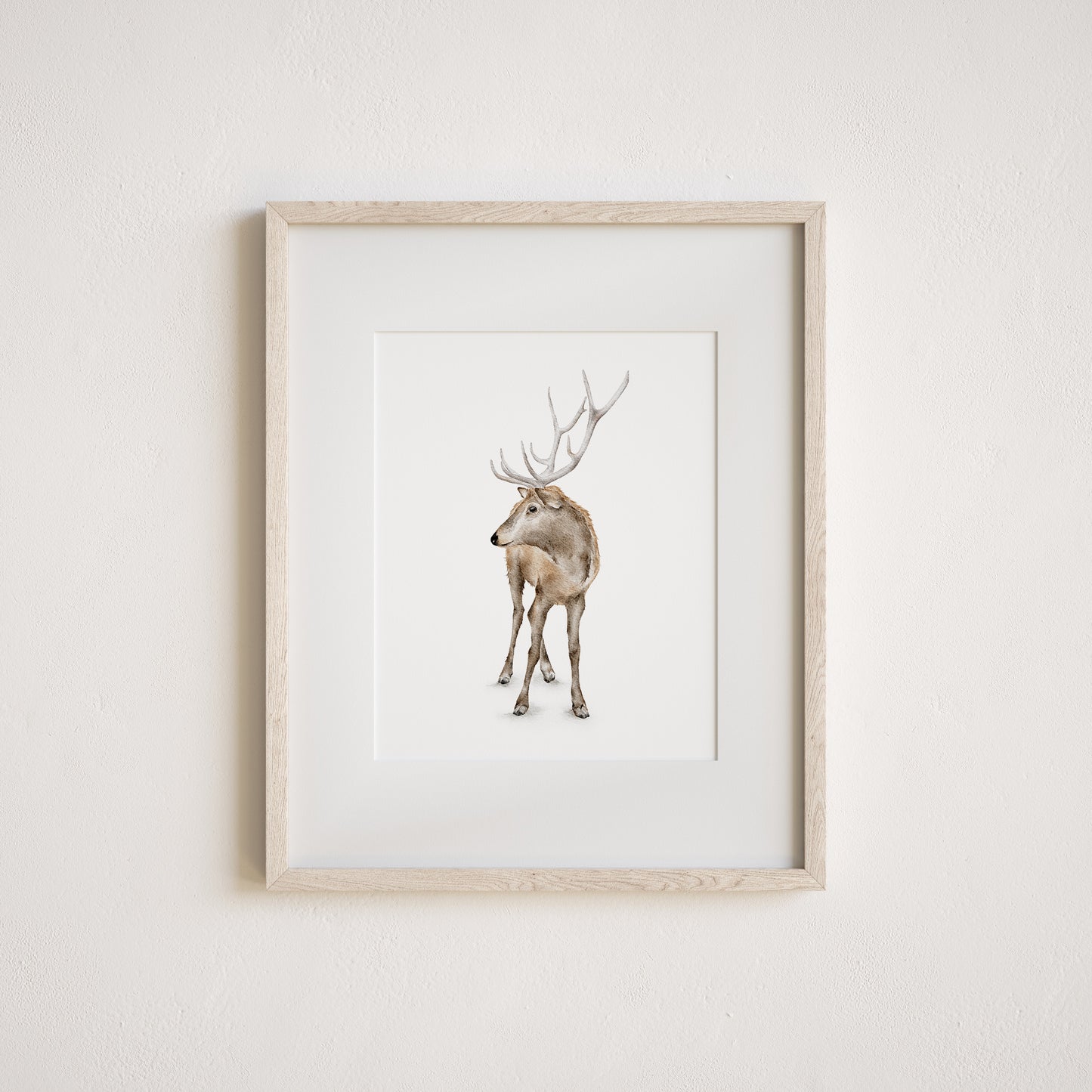 Watercolor art print of a deer on a white background
