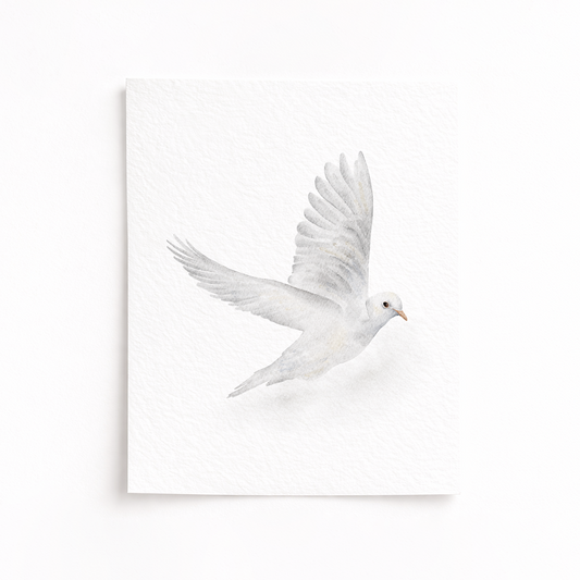 White dove flying against a white background