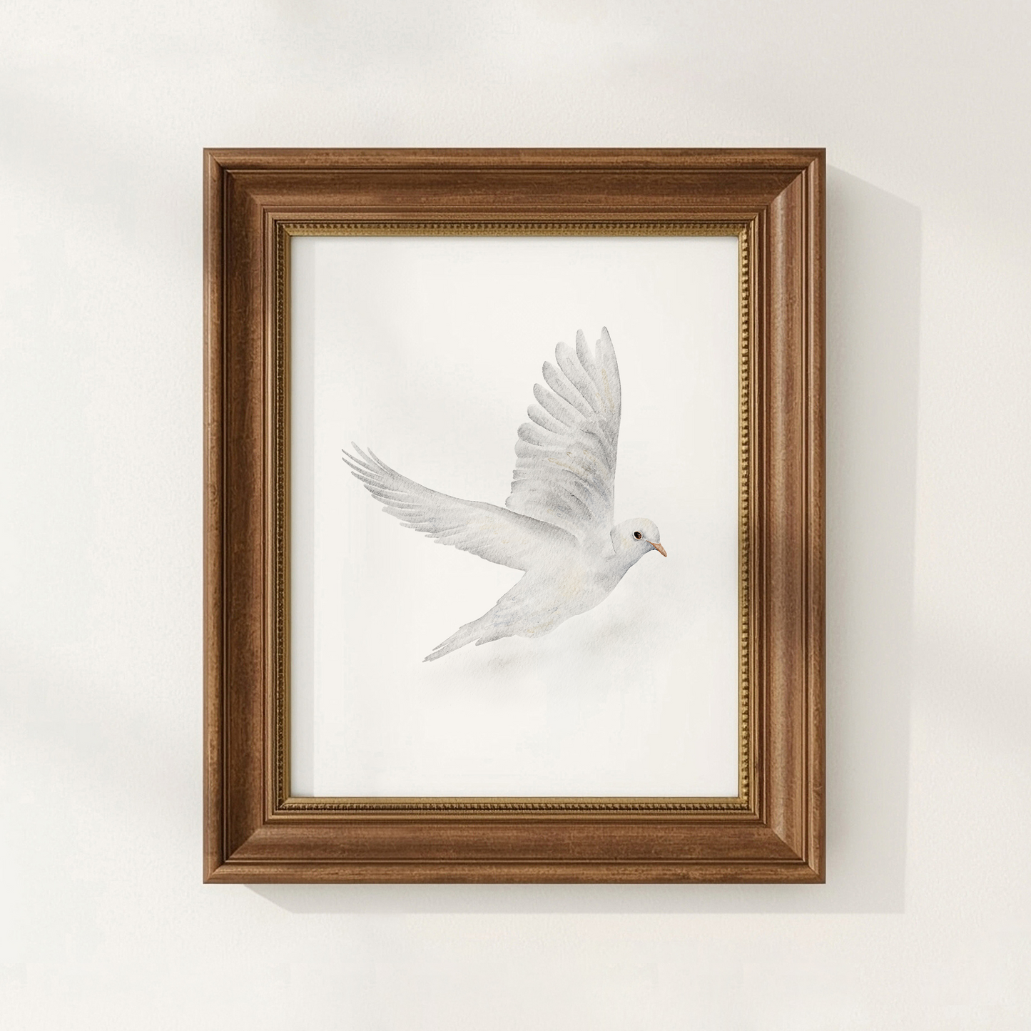 Framed artwork of a white dove on a white background
