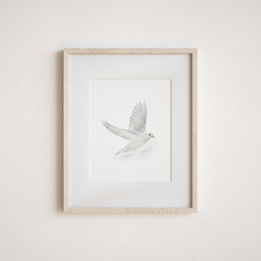 Watercolor art print of a white dove on a white background