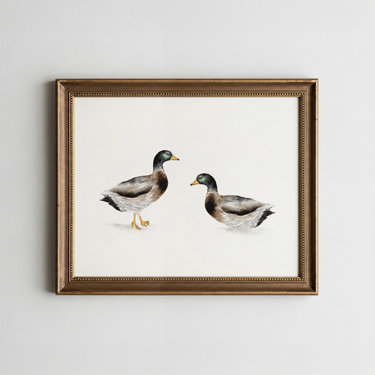 Framed artwork of two ducks on a white background