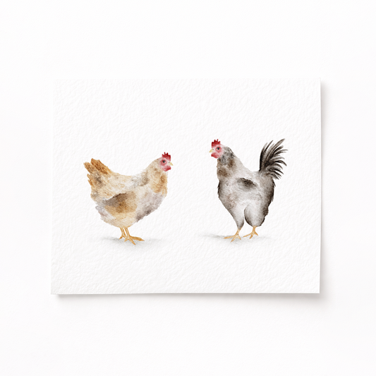 Two chickens on a white background