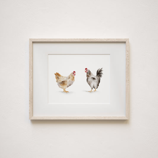 Watercolor art print of two hens on a white background