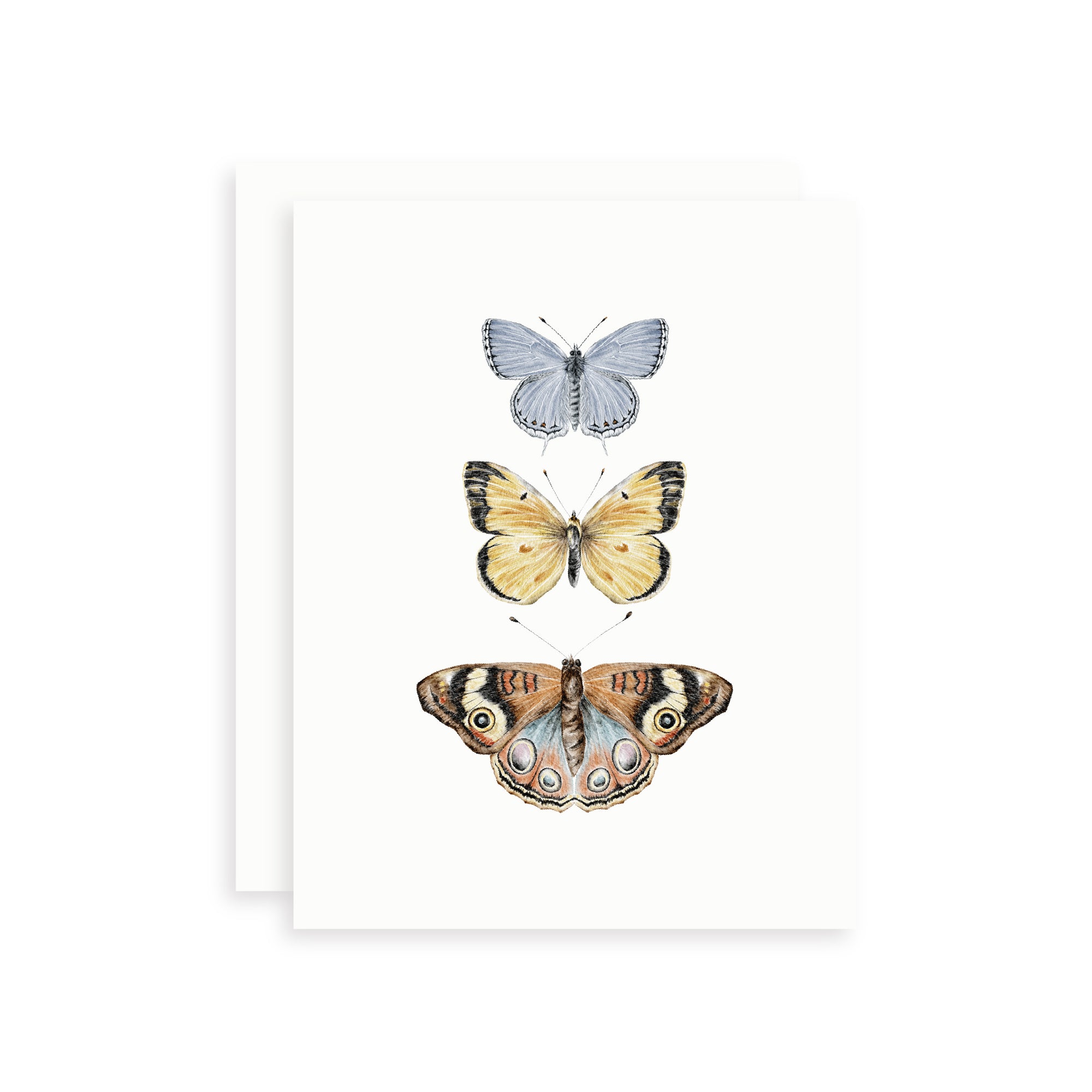 Watercolor card with three butterflies on a white background