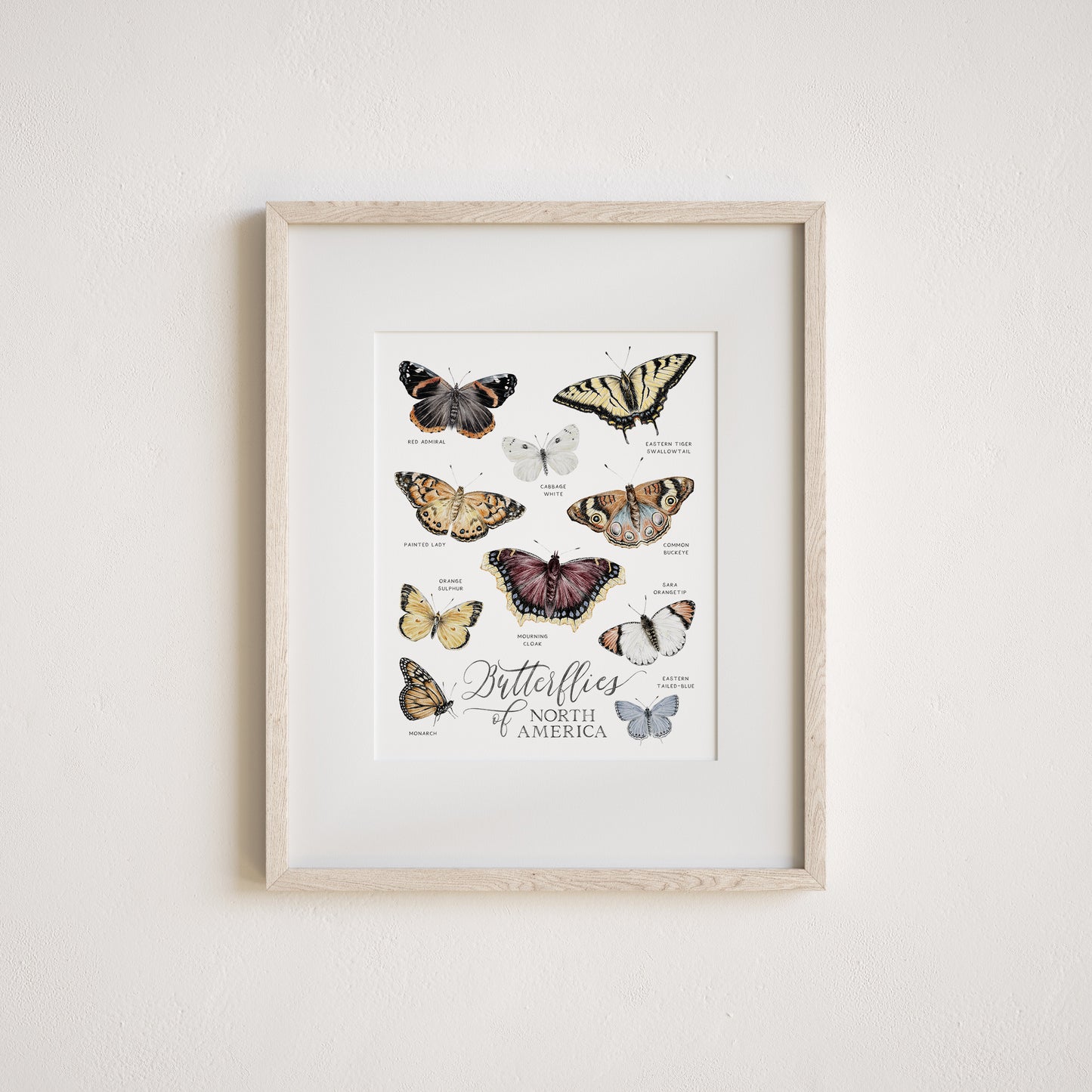 Watercolor art print of butterflies on a white background with the text 'Butterflies of North America'