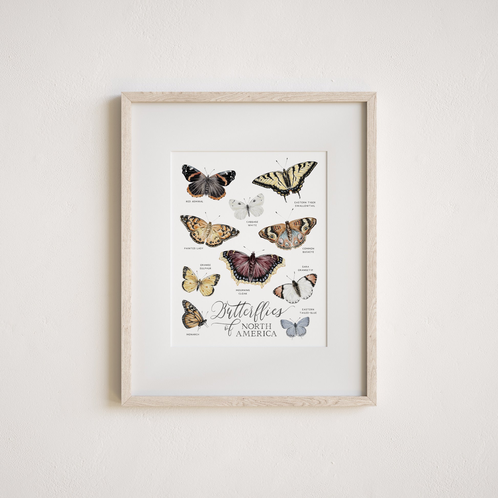 Watercolor art print of butterflies on a white background with the text 'Butterflies of North America'