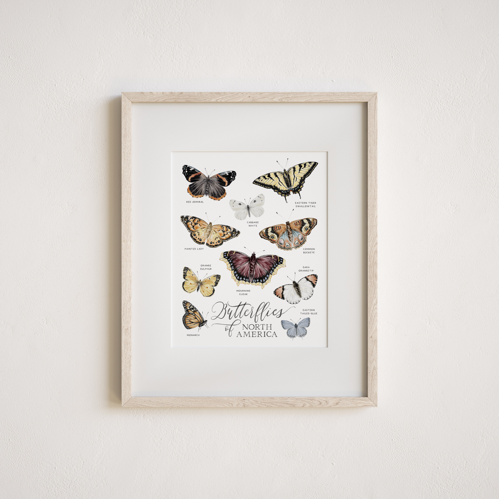 Watercolor art print of butterflies of North America on a white background
