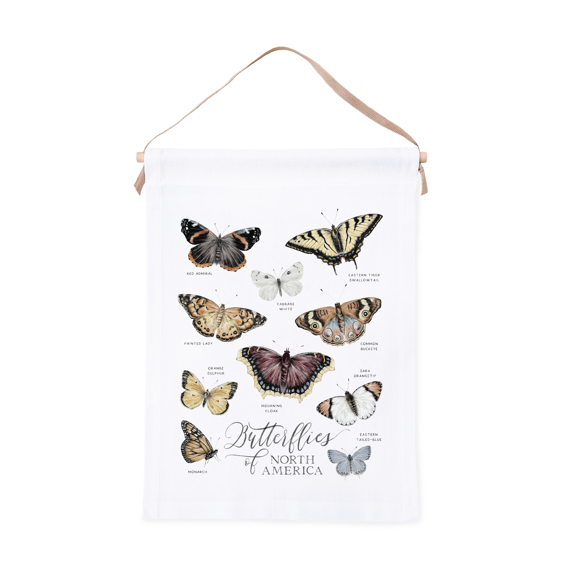 Canvas wall tapestry with illustrations of butterflies of North America on a white background