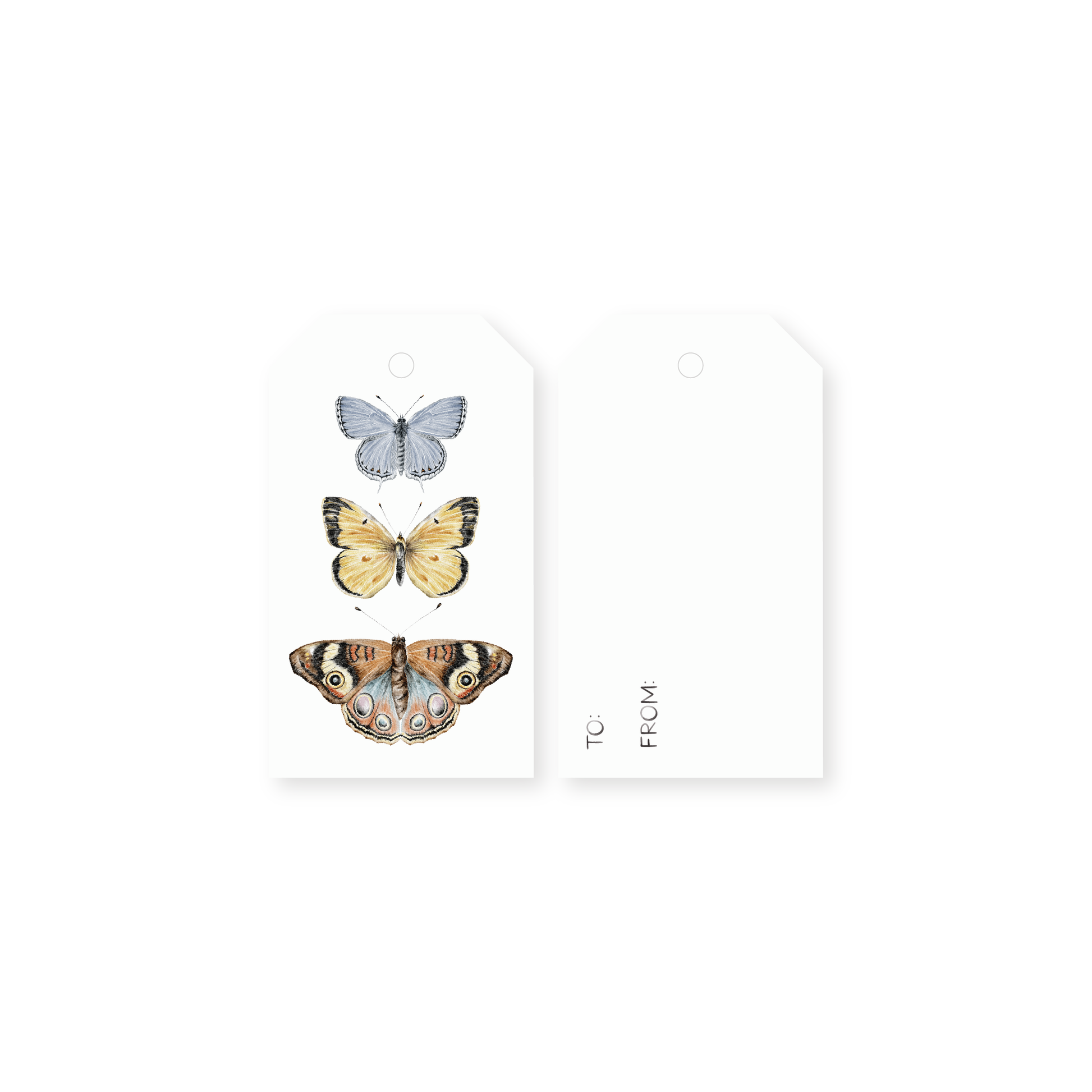 Gift tag of watercolor butterflies on a white background
