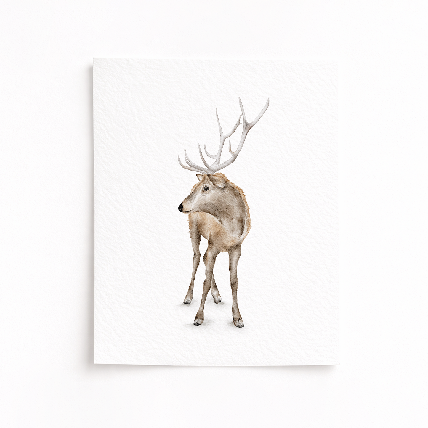 Framed artwork of a deer with antlers on a white background