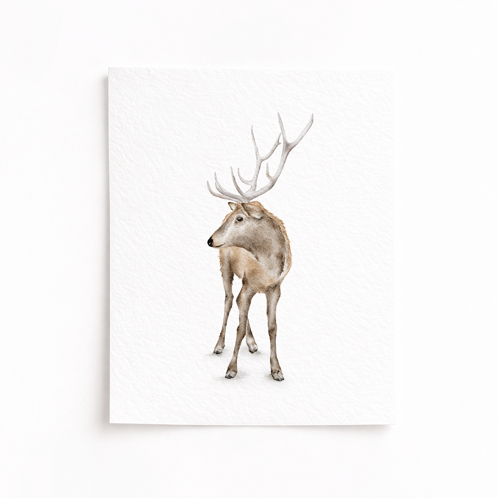 Framed artwork of a deer with antlers on a white background