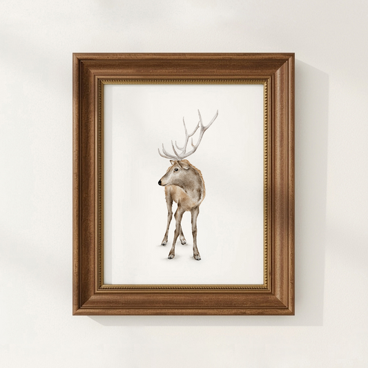 Framed artwork of a deer on a white background