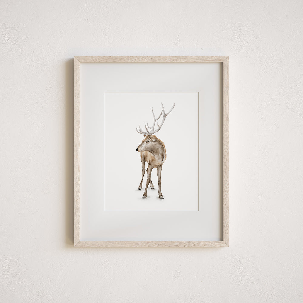 Watercolor art print of a deer on a white background