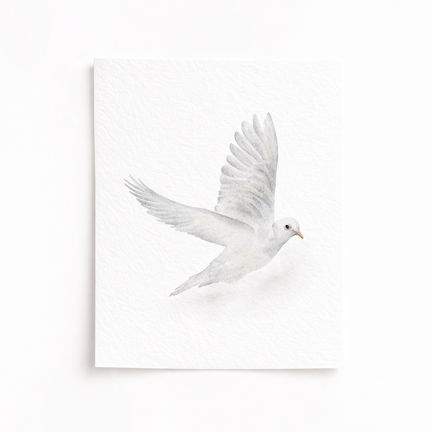 White dove flying against a white background