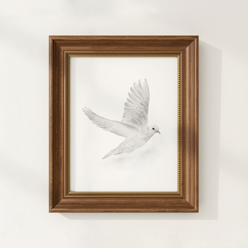 Framed artwork of a white dove on a white background