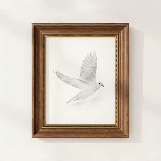 Framed artwork of a white dove on a white background