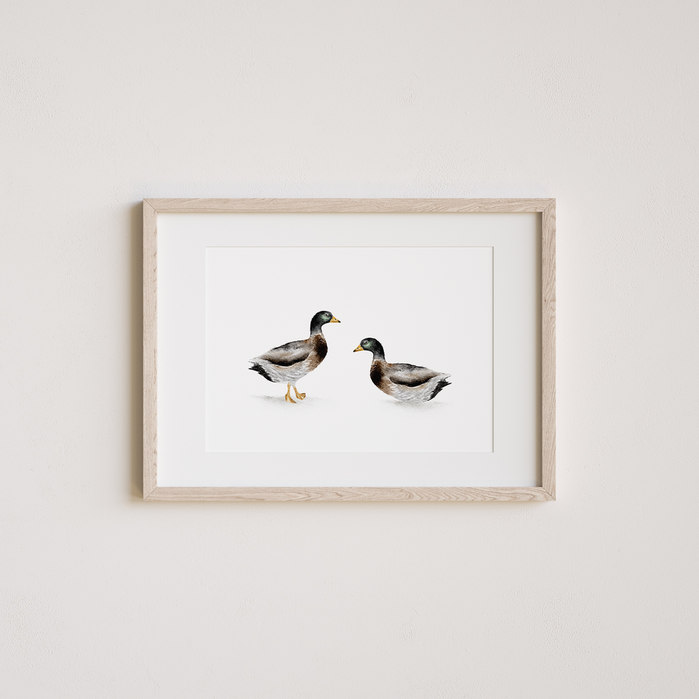 Watercolor art print of two ducks on a white background