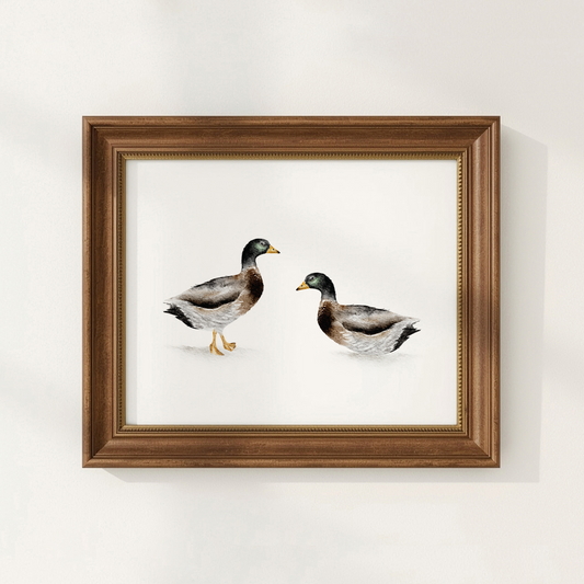 Framed artwork of two ducks on a white background