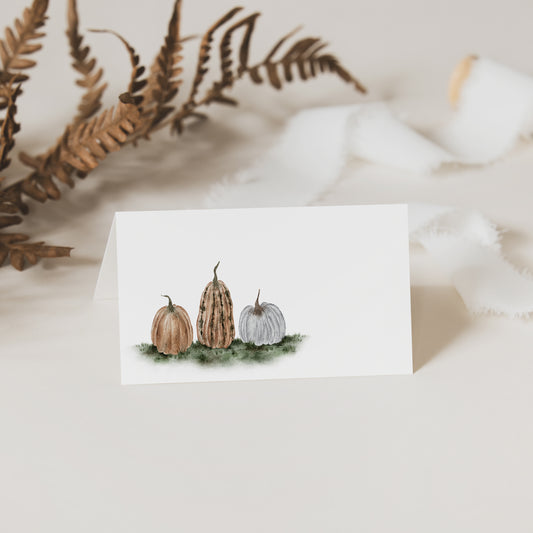 Fall Pumpkins Folded Place Cards Set of 12