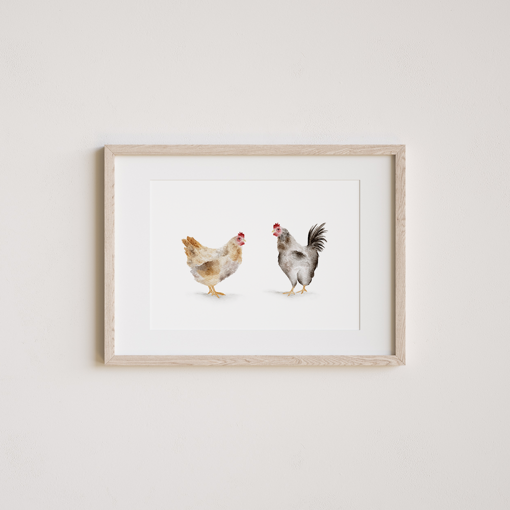 Watercolor art print of hens on a white background