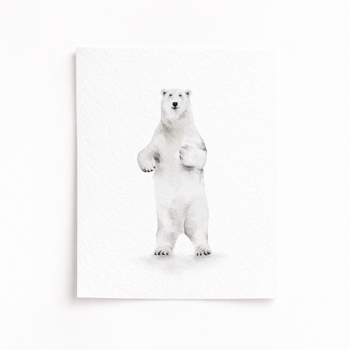 Polar bear standing on a white background