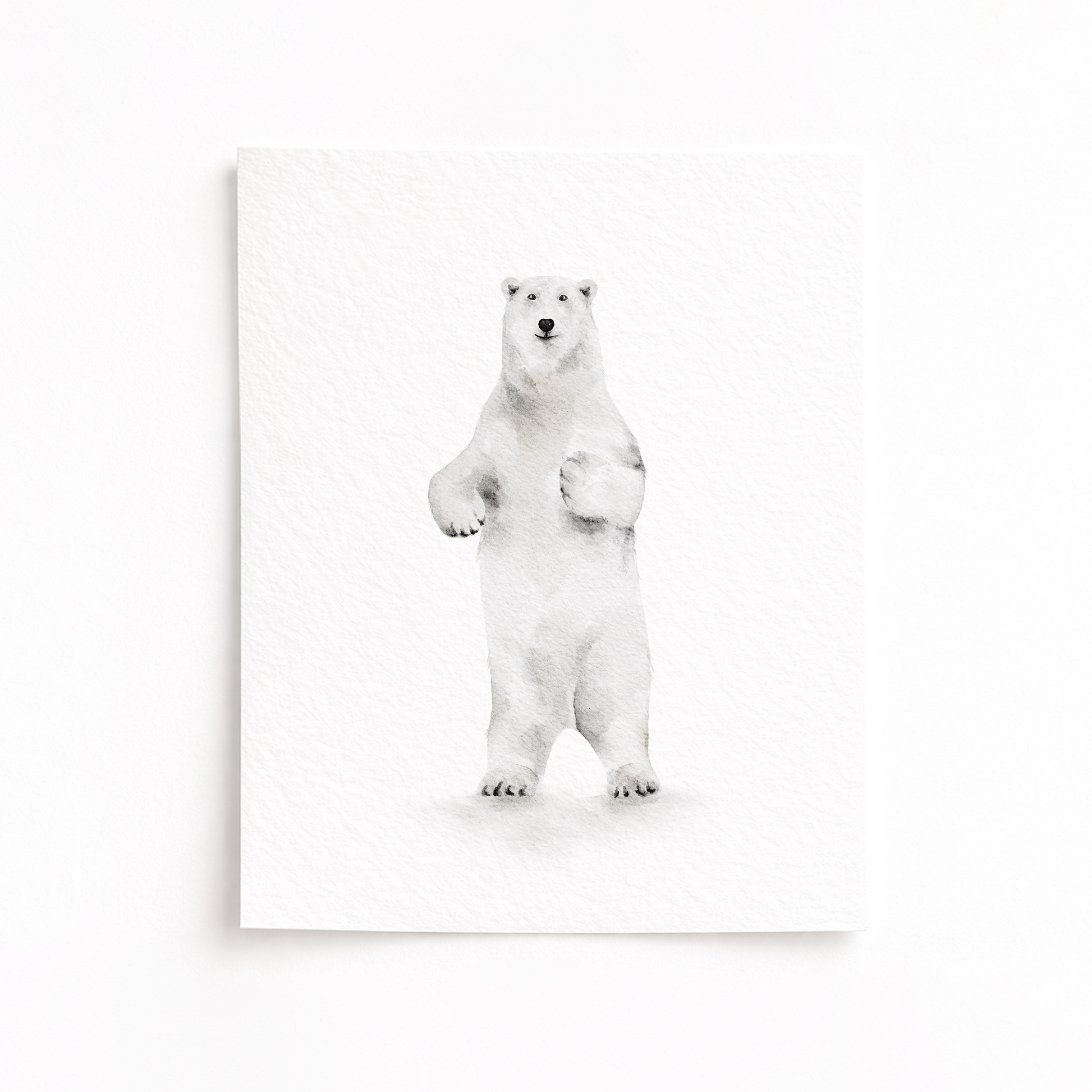 Polar bear standing on a white background