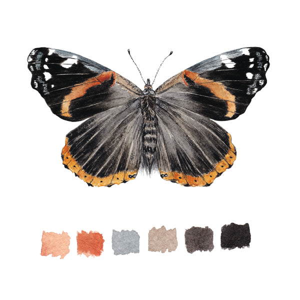 Watercolor butterfly illustration by Raechelle Marie, with color swatches below on a white background