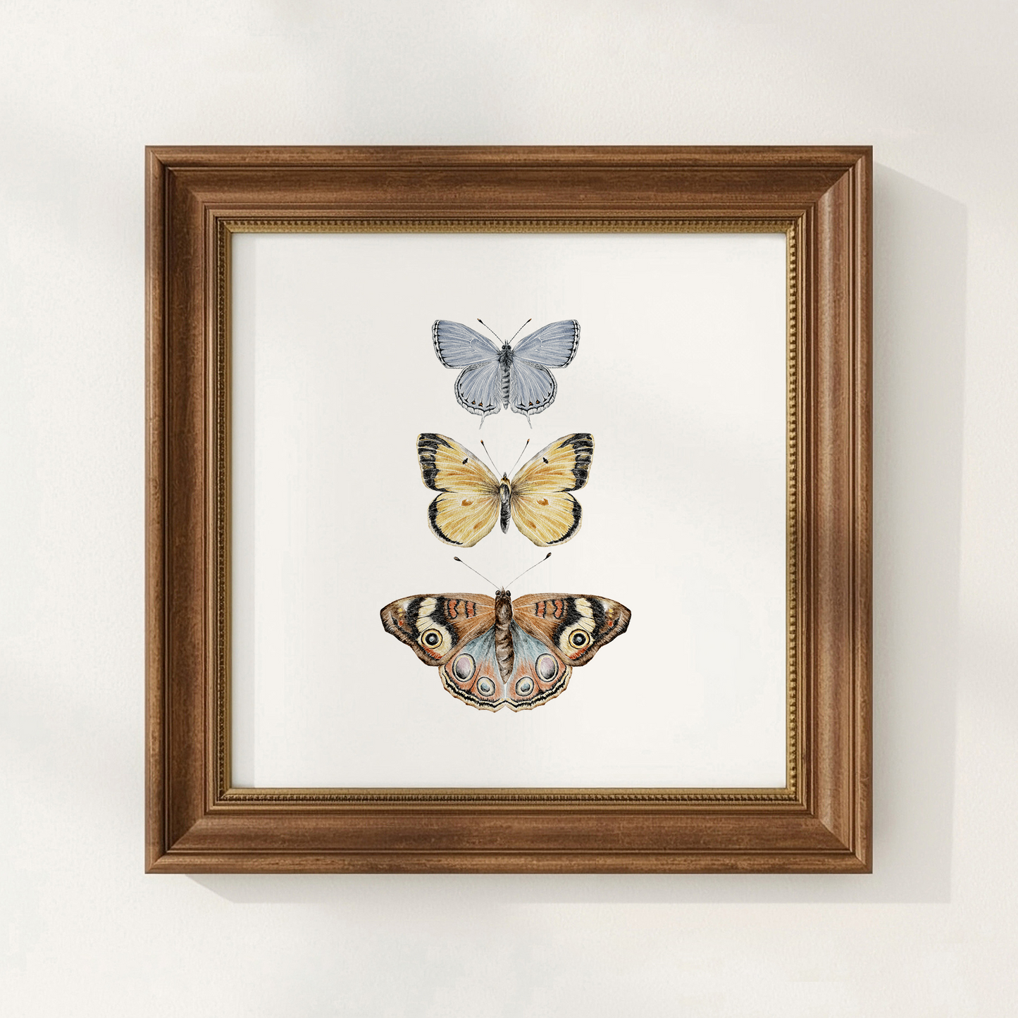 Framed artwork with three butterflies on a white background