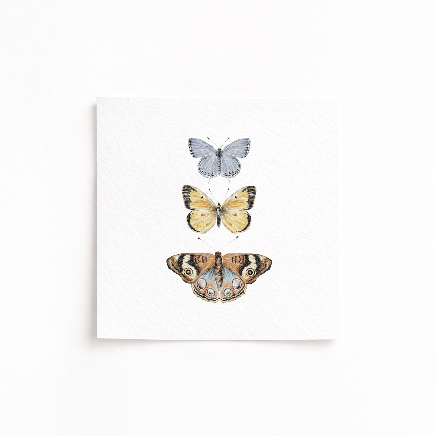 A square art print featuring three watercolor-style butterflies stacked vertically on a white textured background, shown against a clean white wall.