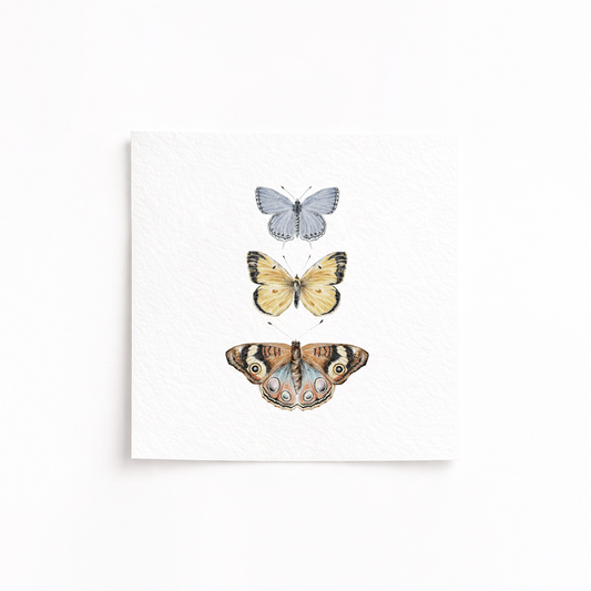 A square art print featuring three watercolor-style butterflies stacked vertically on a white textured background, shown against a clean white wall.