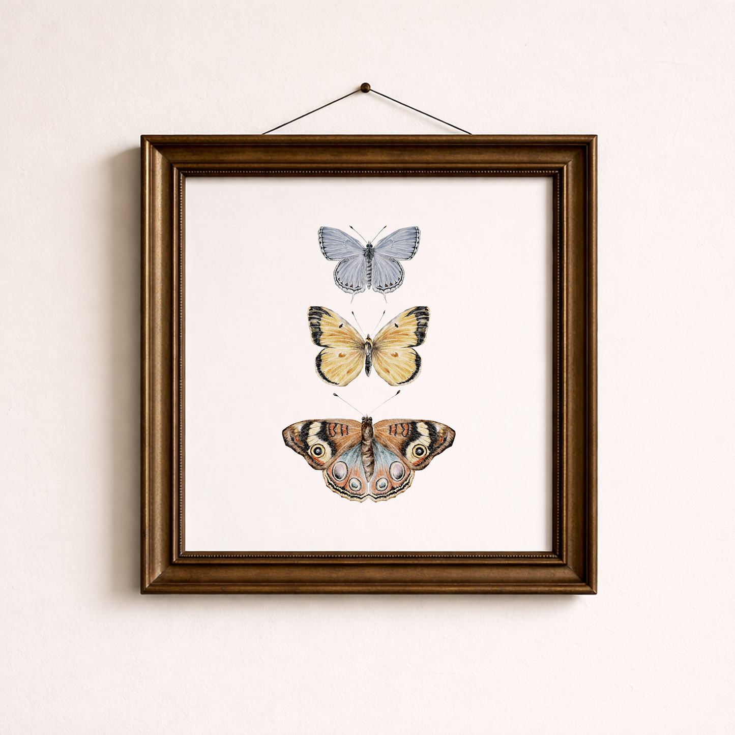Framed artwork of three butterflies on a white background