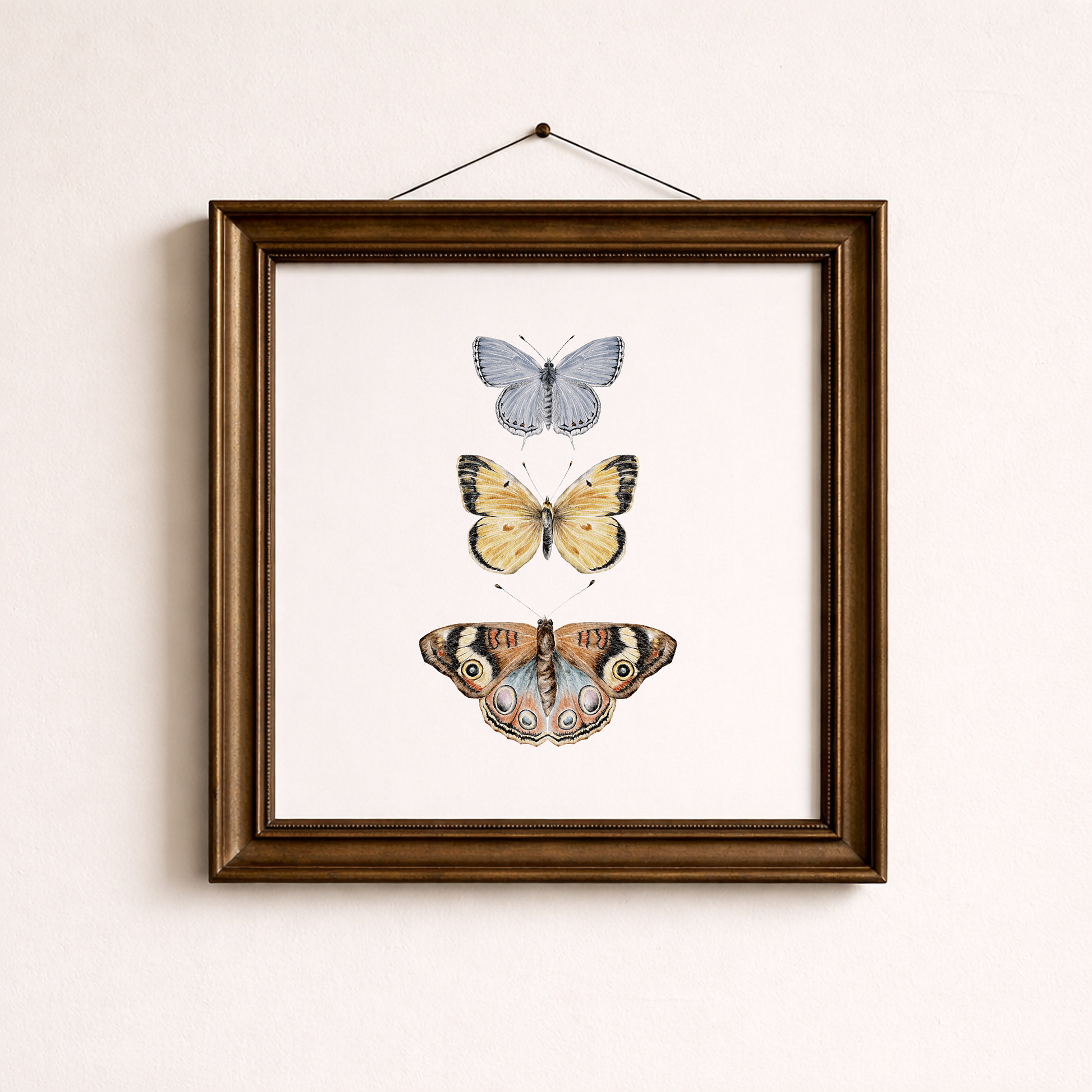Framed artwork of three butterflies on a white background