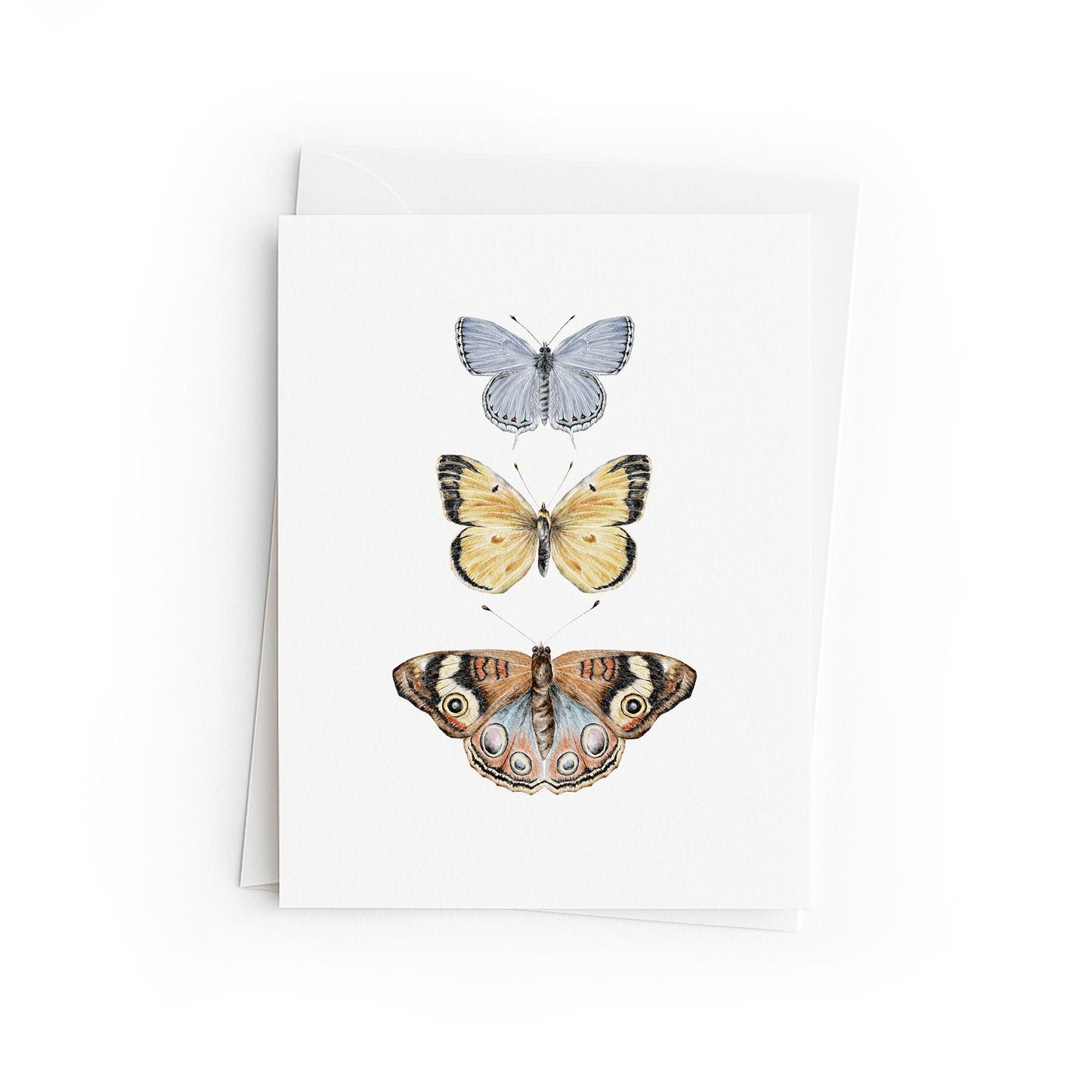 Greeting card with illustrations of three butterflies on a white background