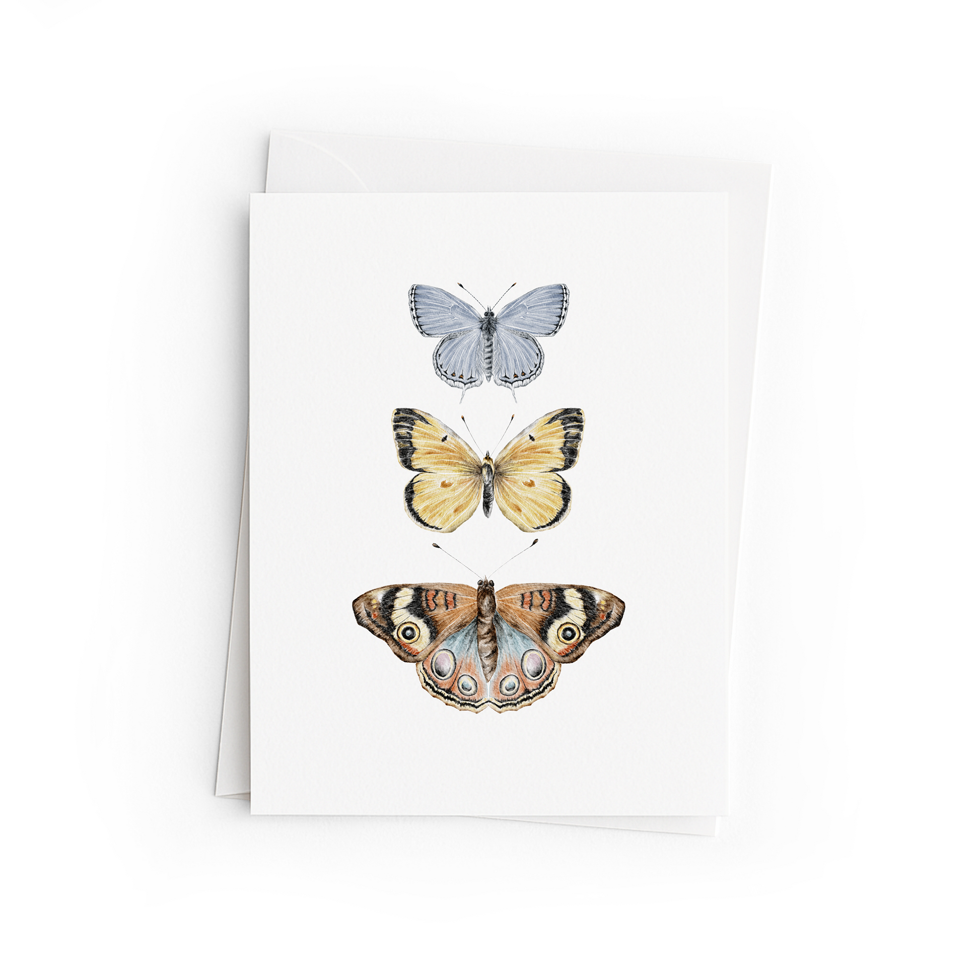 Greeting card with illustrations of three butterflies on a white background