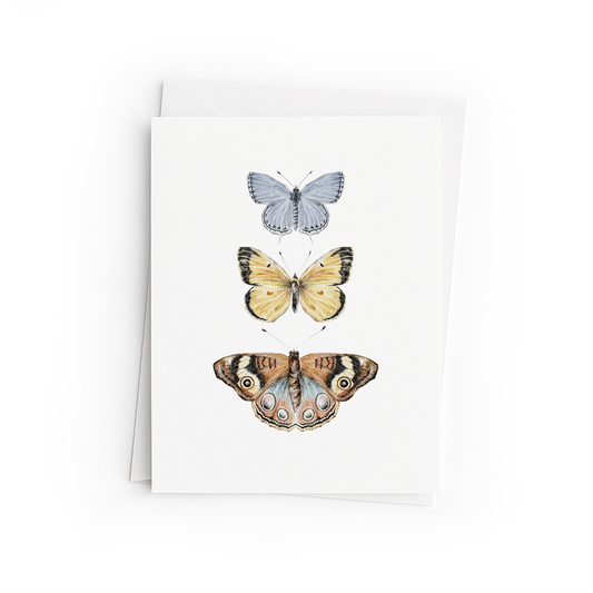 Greeting card with illustrations of three butterflies on a white background