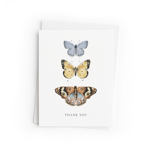 Greeting card with three butterfly illustrations and 'Thank You' text on a white background